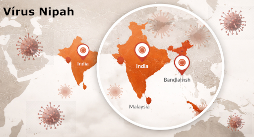 Vírus Nipah: Origem, Situação Atual, Riscos, Sintomas e Pesquisas sobre Vacinas